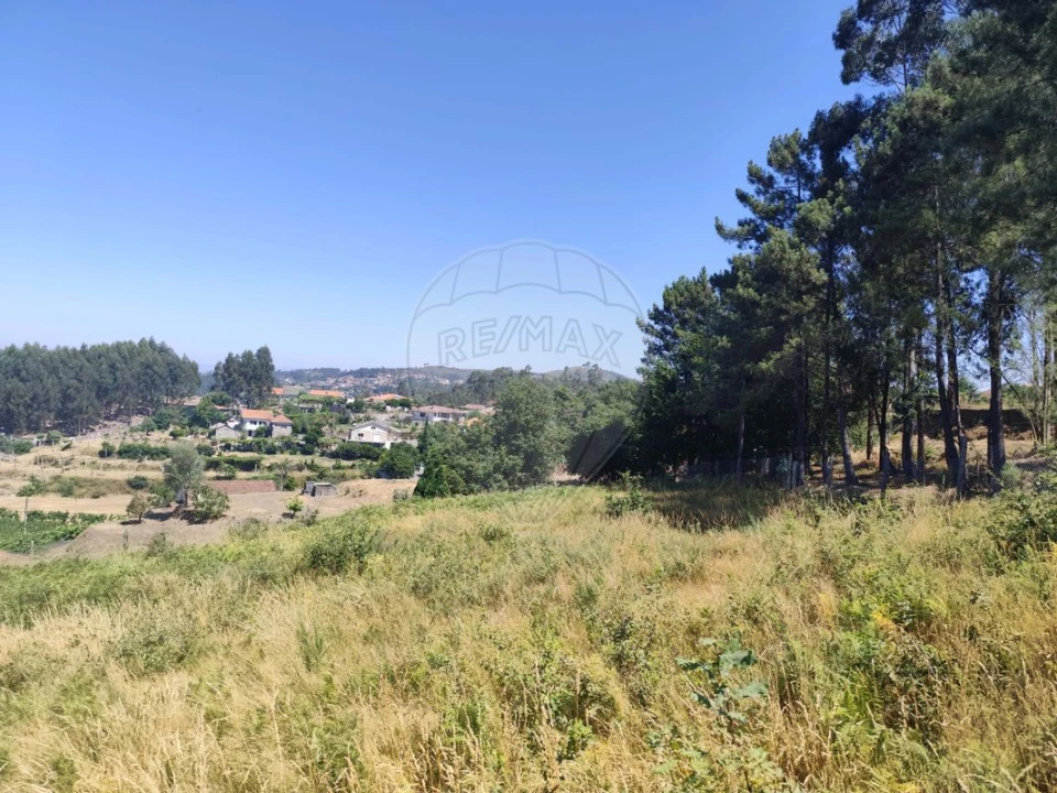 Terreno para Venda em Ardegão, Arnozela e Seidões Foto 14