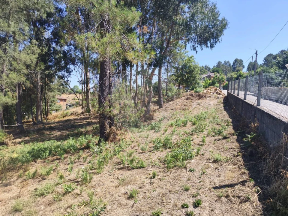 Terreno para Venda em Ardegão, Arnozela e Seidões Foto 32