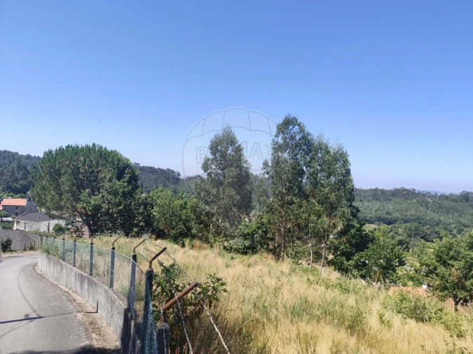 Terreno para Venda em Ardegão, Arnozela e Seidões Foto 12