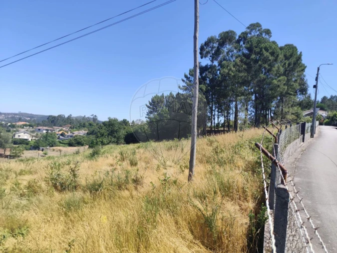 Terreno para Venda em Ardegão, Arnozela e Seidões Foto 9