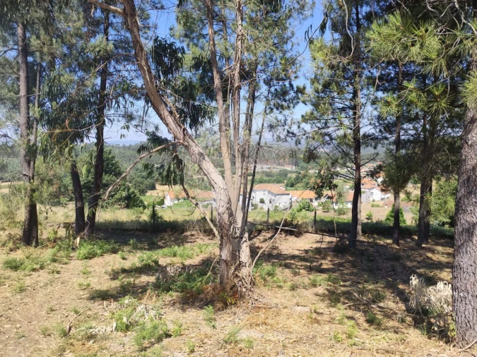 Terreno para Venda em Ardegão, Arnozela e Seidões Foto 31