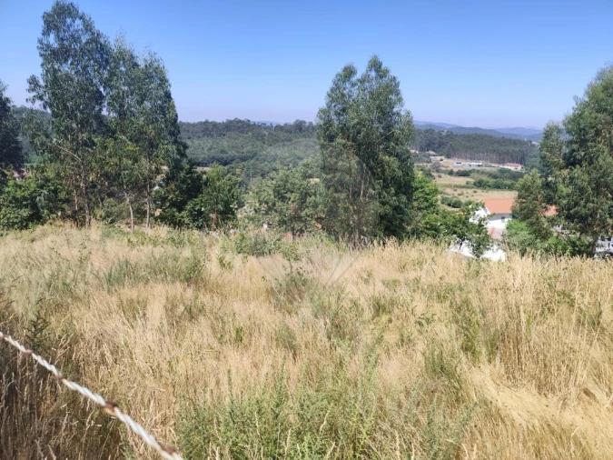 Terreno para Venda em Ardegão, Arnozela e Seidões Foto 17