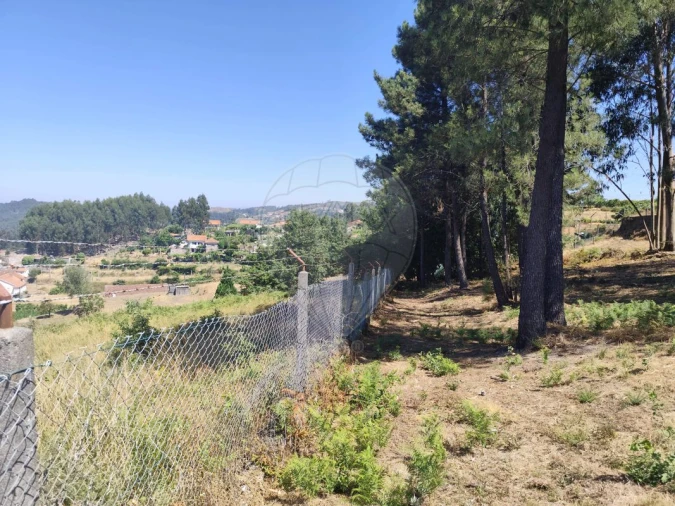 Terreno para Venda em Ardegão, Arnozela e Seidões Foto 23