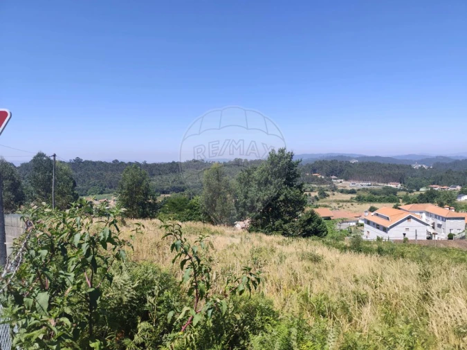 Terreno para Venda em Ardegão, Arnozela e Seidões Foto 3