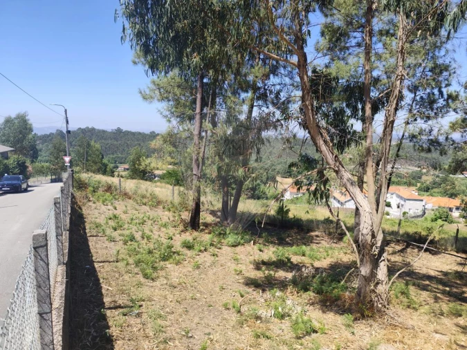 Terreno para Venda em Ardegão, Arnozela e Seidões Foto 22