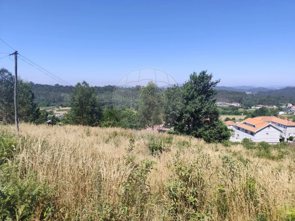 Terreno para Venda em Ardegão, Arnozela e Seidões Foto 6