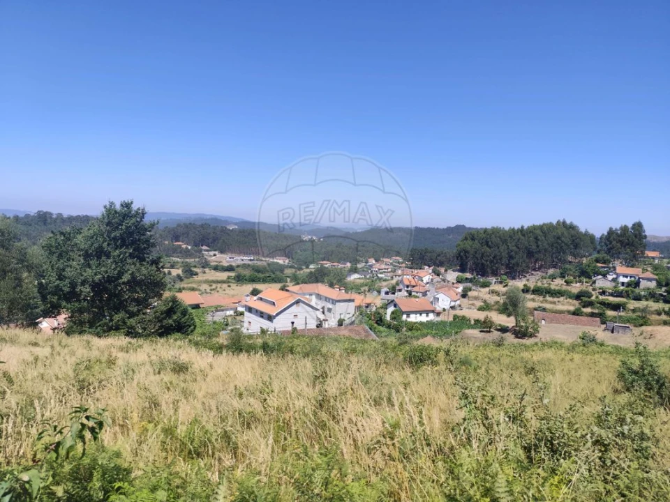 Terreno para Venda em Ardegão, Arnozela e Seidões Foto 4