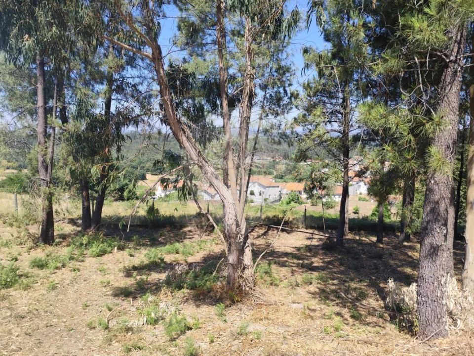 Terreno para Venda em Ardegão, Arnozela e Seidões Foto 30