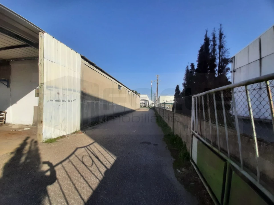 Armazém para Arrendamento em Vagos e Santo António Foto 9