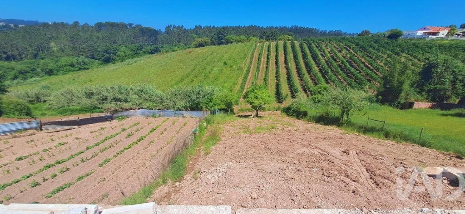 Moradia T3 para Venda em Salir de Matos Foto 30