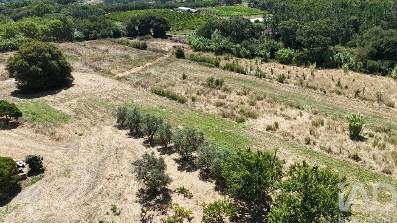 Terreno para Venda em Alcoentre Foto 22