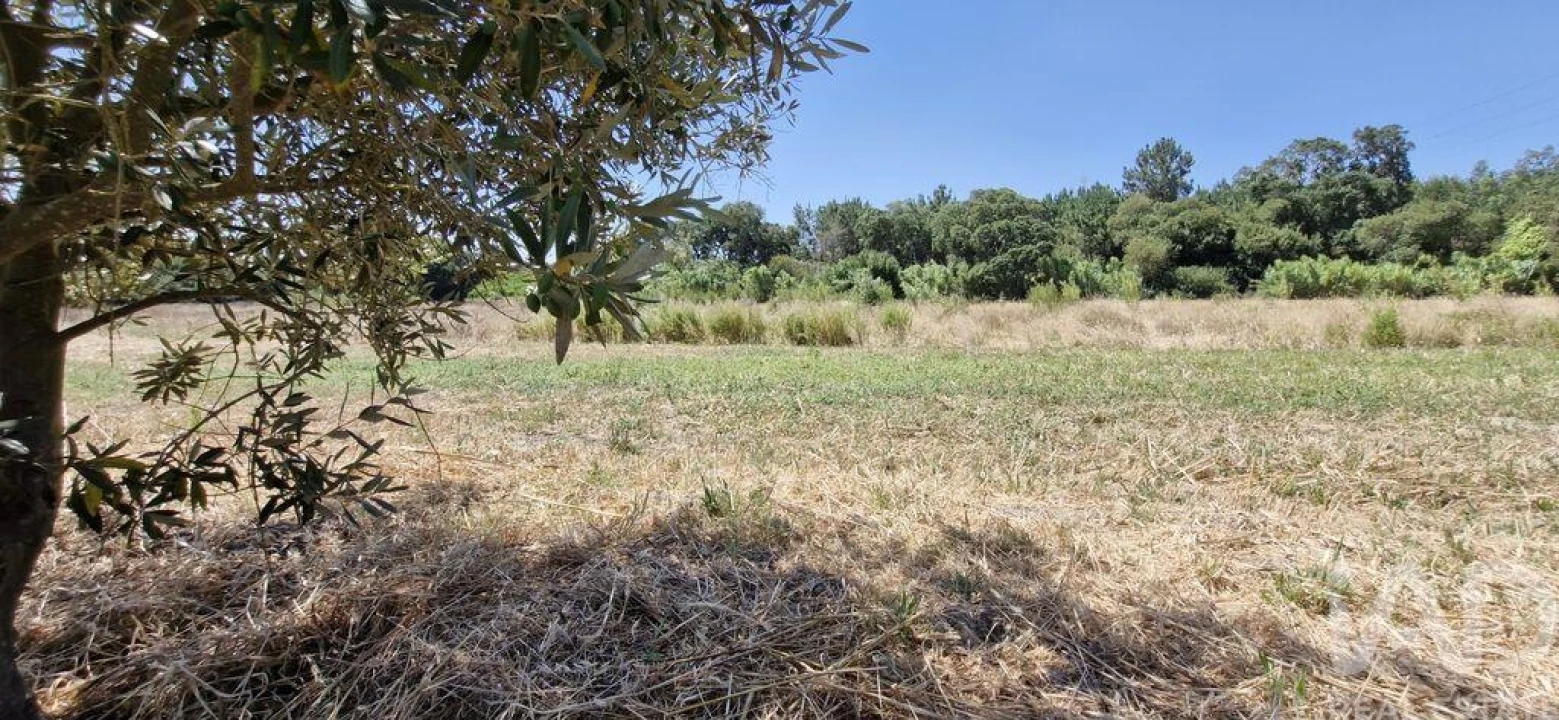 Terreno para Venda em Alcoentre Foto 10