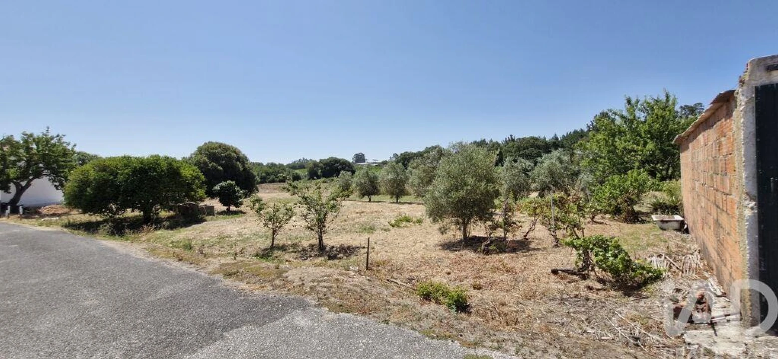 Terreno para Venda em Alcoentre Foto 4