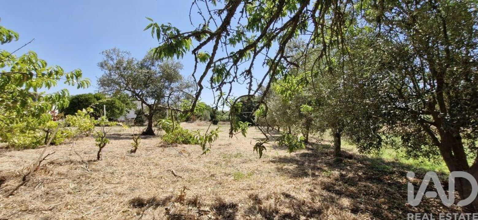 Terreno para Venda em Alcoentre Foto 7