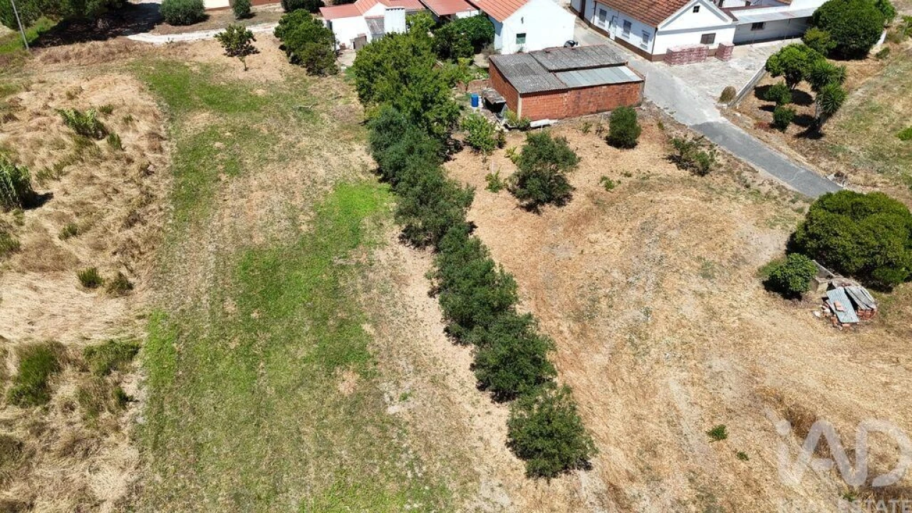 Terreno para Venda em Alcoentre Foto 23