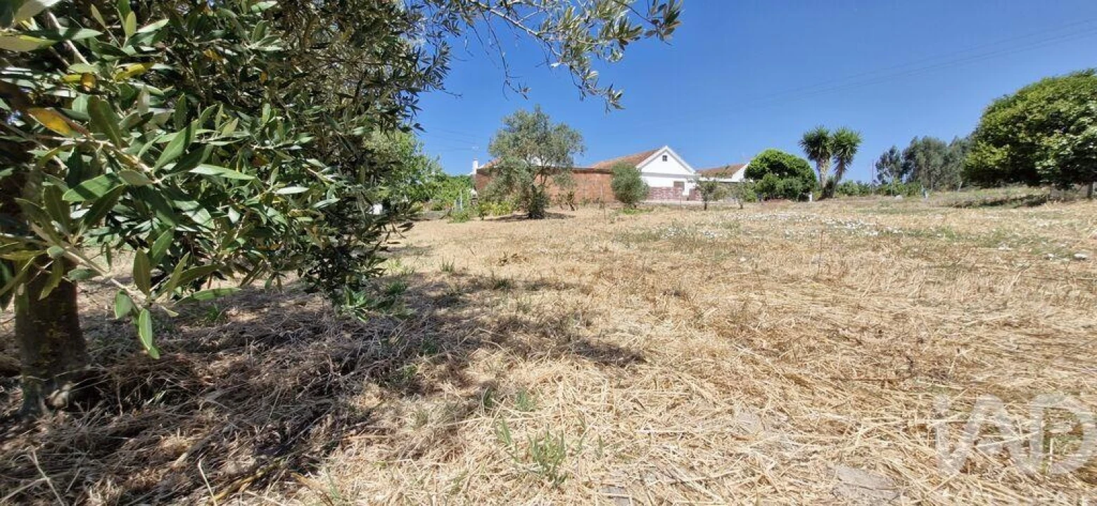 Terreno para Venda em Alcoentre Foto 11