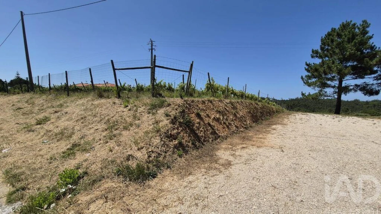 Terreno para Venda em Parceiros e Azoia Foto 3