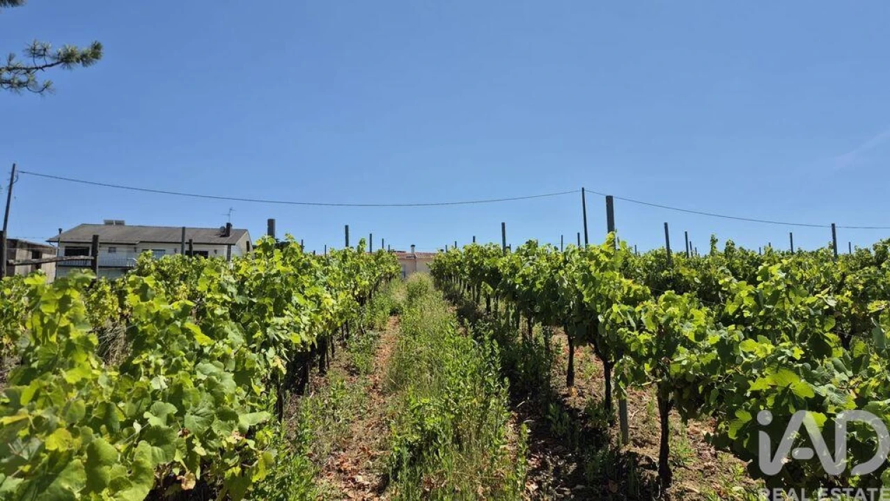 Terreno para Venda em Parceiros e Azoia Foto 15