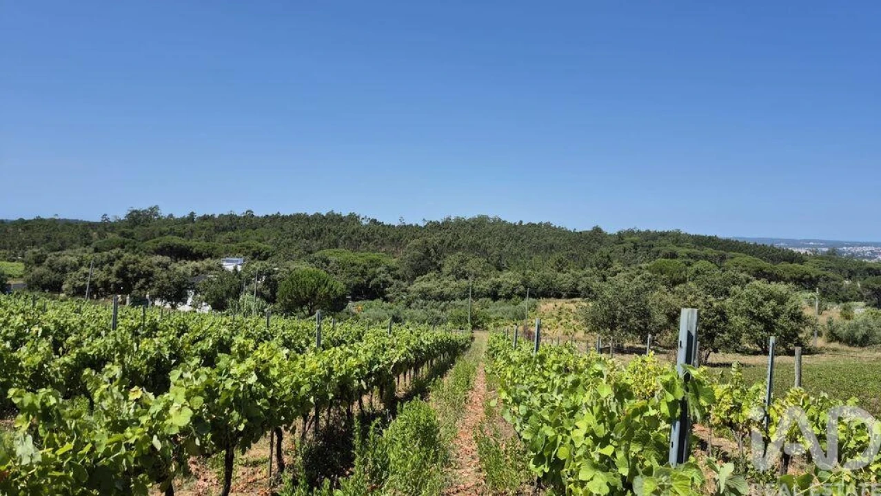 Terreno para Venda em Parceiros e Azoia Foto 17