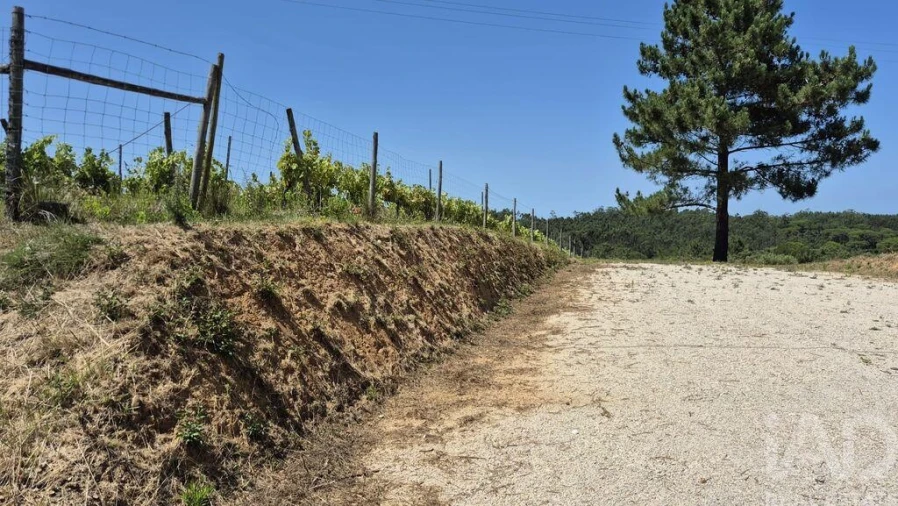 Terreno para Venda em Parceiros e Azoia Foto 4