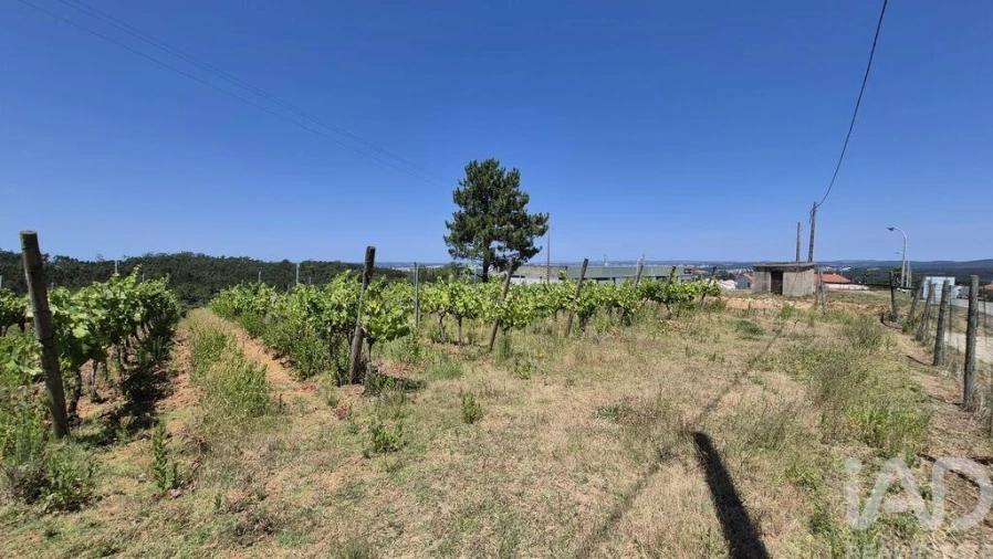 Terreno para Venda em Parceiros e Azoia Foto 20