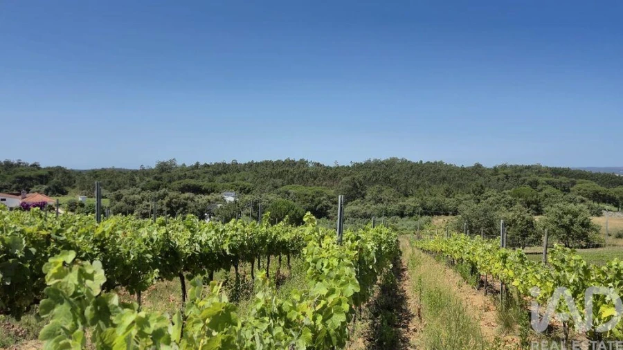 Terreno para Venda em Parceiros e Azoia Foto 6