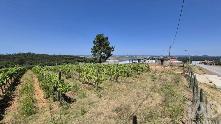 Terreno para Venda em Parceiros e Azoia Foto 16