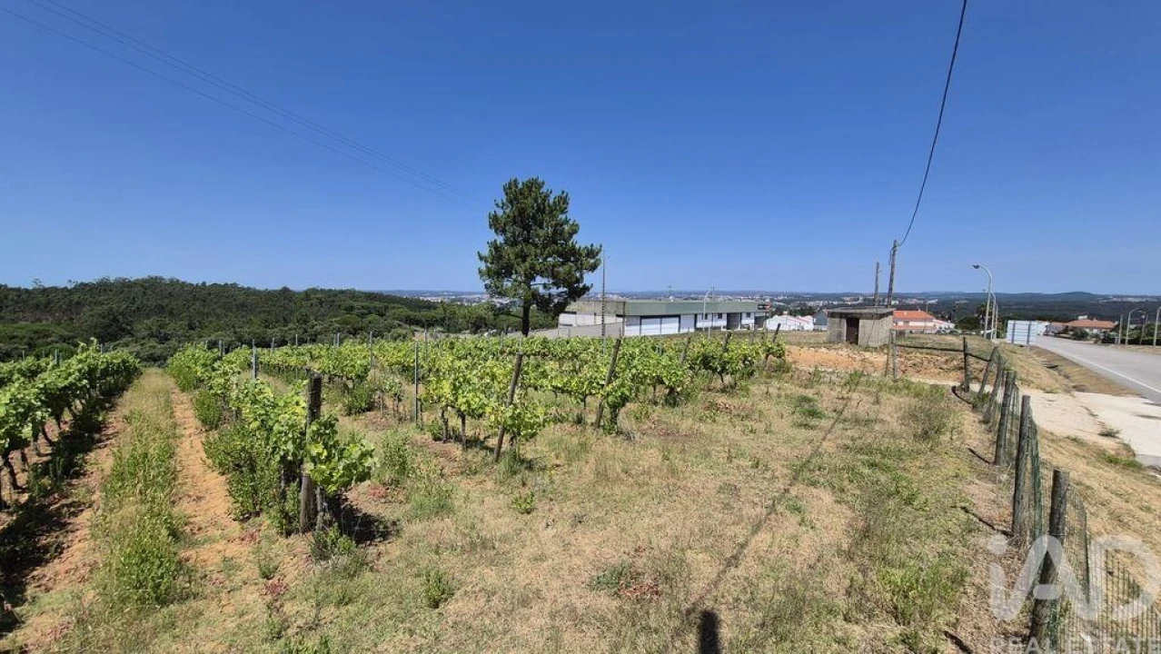 Terreno para Venda em Parceiros e Azoia Foto 16