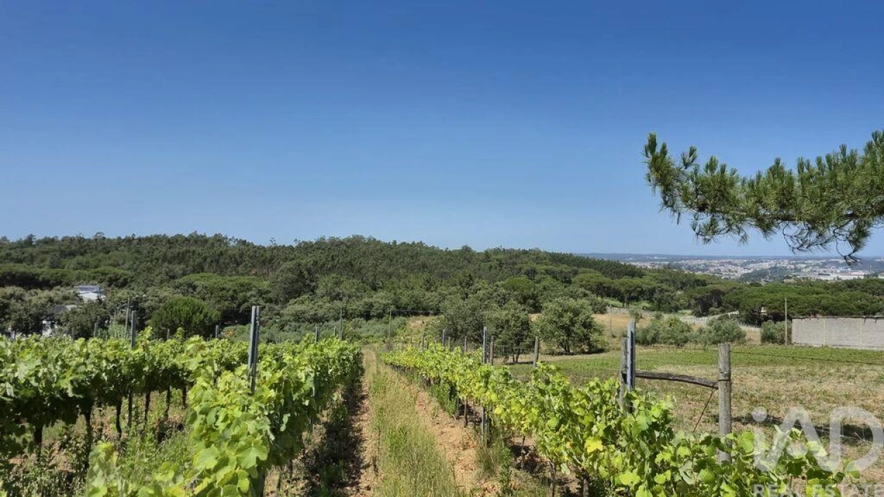 Terreno para Venda em Parceiros e Azoia Foto 7