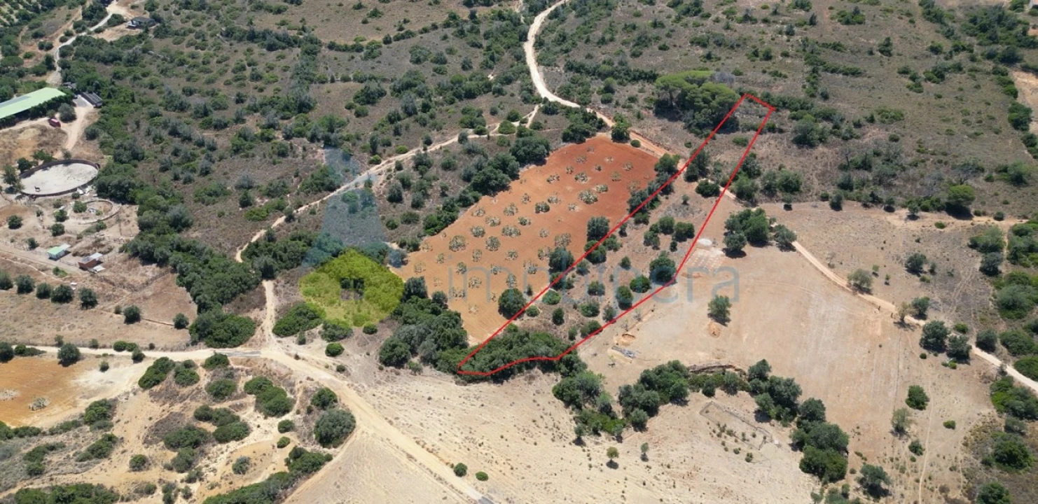 Terreno Agricola ou Rústico para Venda em Alcantarilha e Pêra Foto 2