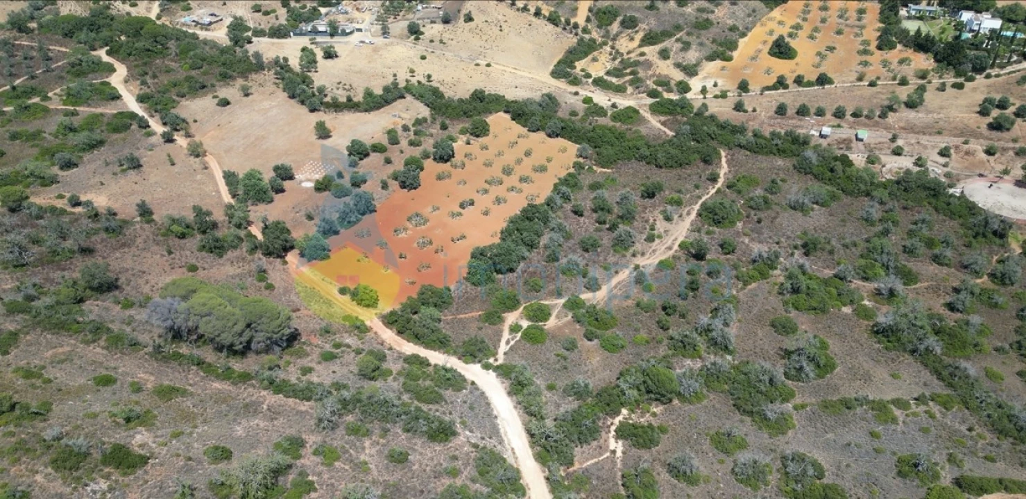 Terreno Agricola ou Rústico para Venda em Alcantarilha e Pêra Foto 4