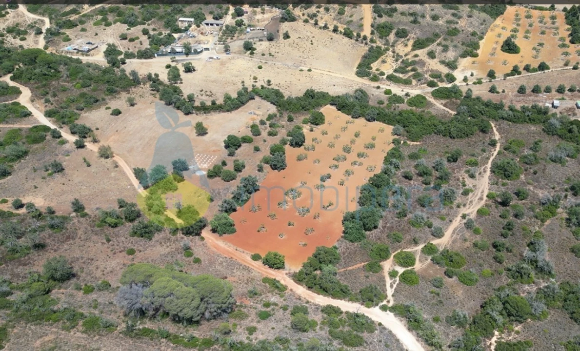 Terreno Agricola ou Rústico para Venda em Alcantarilha e Pêra Foto 5