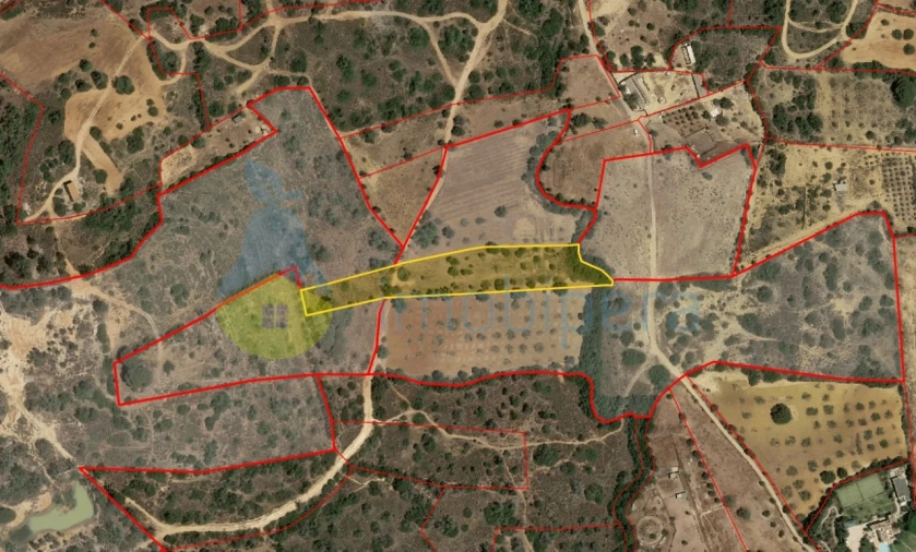 Terreno Agricola ou Rústico para Venda em Alcantarilha e Pêra Foto 1