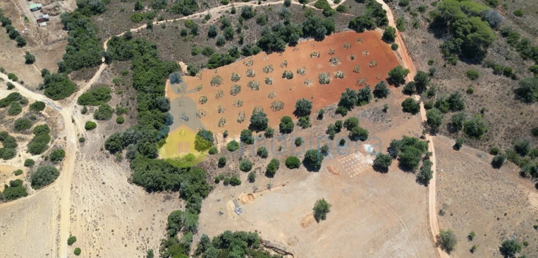 Terreno Agricola ou Rústico para Venda em Alcantarilha e Pêra Foto 3