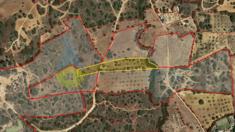 Terreno Agricola ou Rústico para Venda em Alcantarilha e Pêra