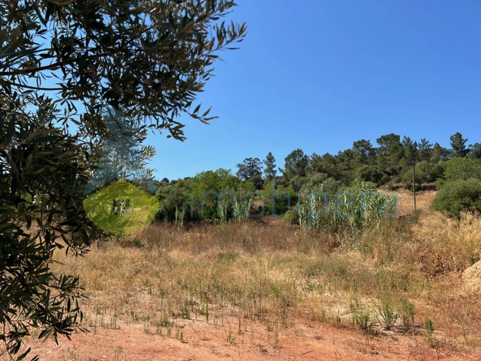 Terreno Agricola ou Rústico para Venda em São Bartolomeu de Messines Foto 1