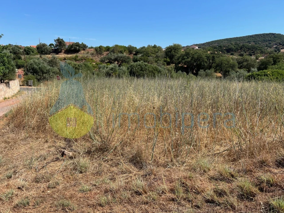 Terreno Agricola ou Rústico para Venda em São Bartolomeu de Messines Foto 4