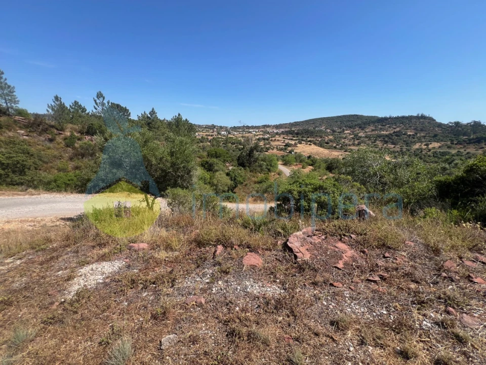 Terreno Agricola ou Rústico para Venda em São Bartolomeu de Messines Foto 8
