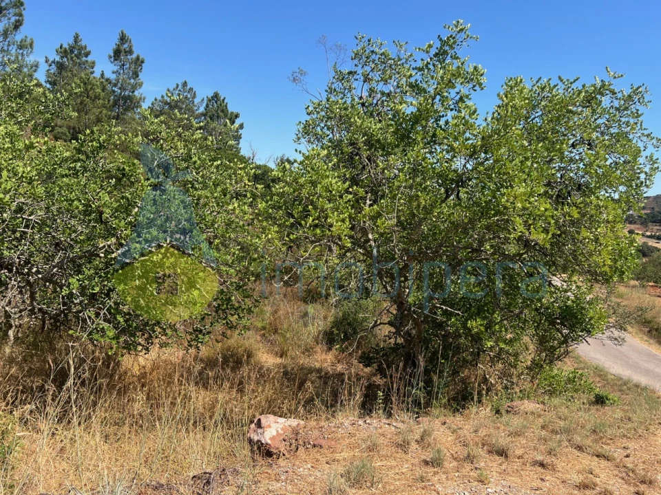 Terreno Agricola ou Rústico para Venda em São Bartolomeu de Messines Foto 10