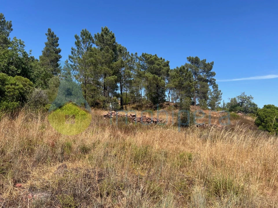Terreno Agricola ou Rústico para Venda em São Bartolomeu de Messines Foto 13