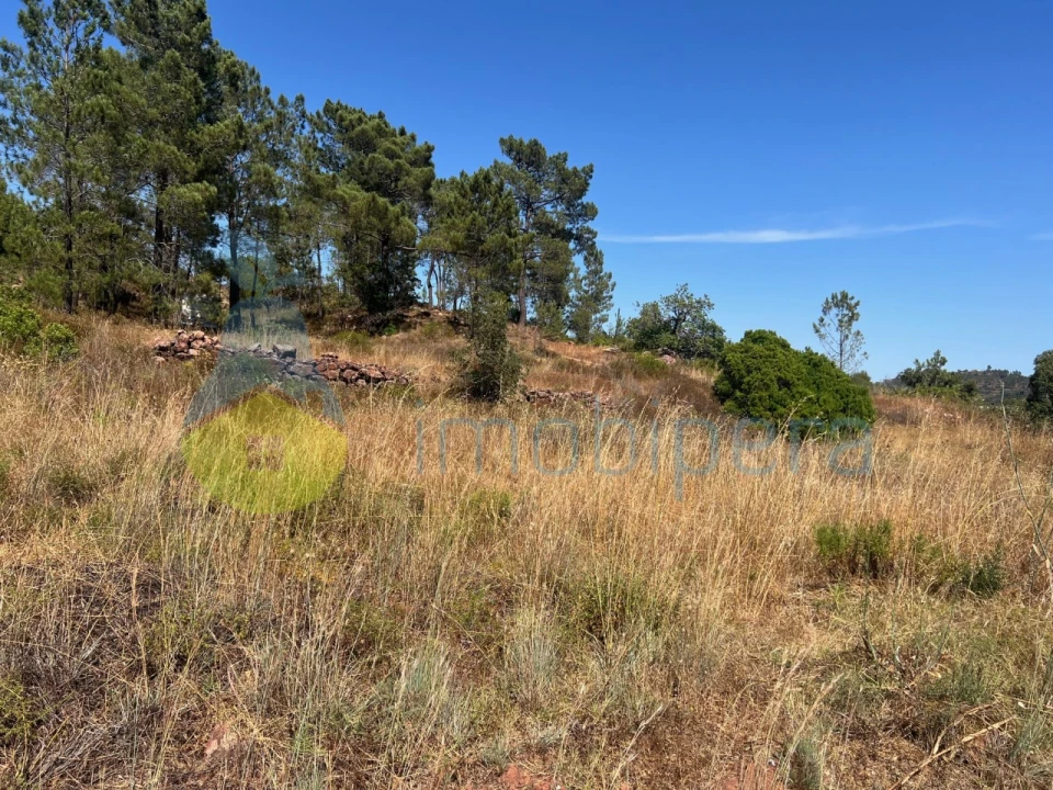 Terreno Agricola ou Rústico para Venda em São Bartolomeu de Messines Foto 14