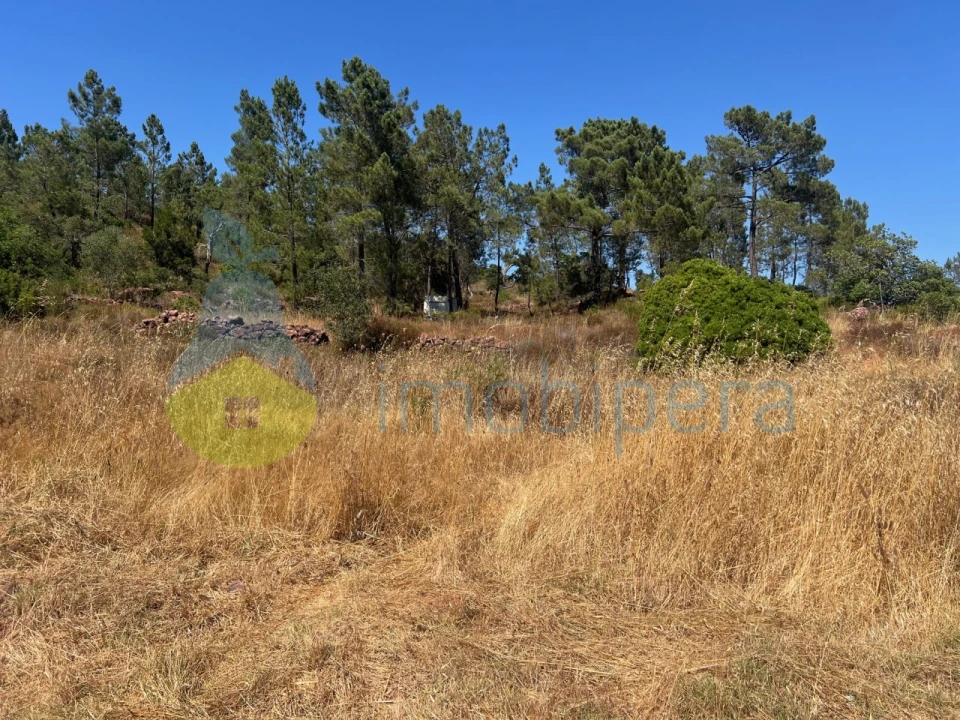 Terreno Agricola ou Rústico para Venda em São Bartolomeu de Messines Foto 15