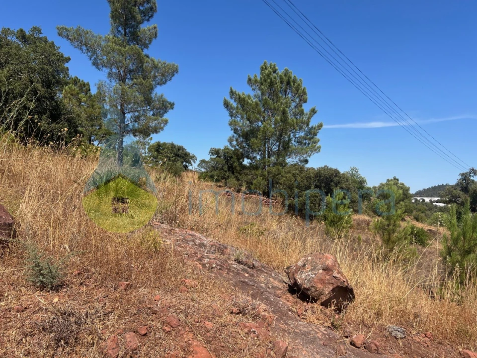 Terreno Agricola ou Rústico para Venda em São Bartolomeu de Messines Foto 16