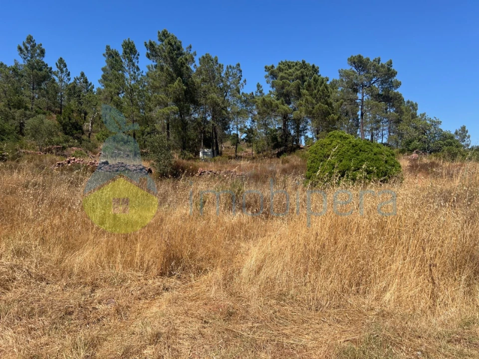 Terreno Agricola ou Rústico para Venda em São Bartolomeu de Messines Foto 17