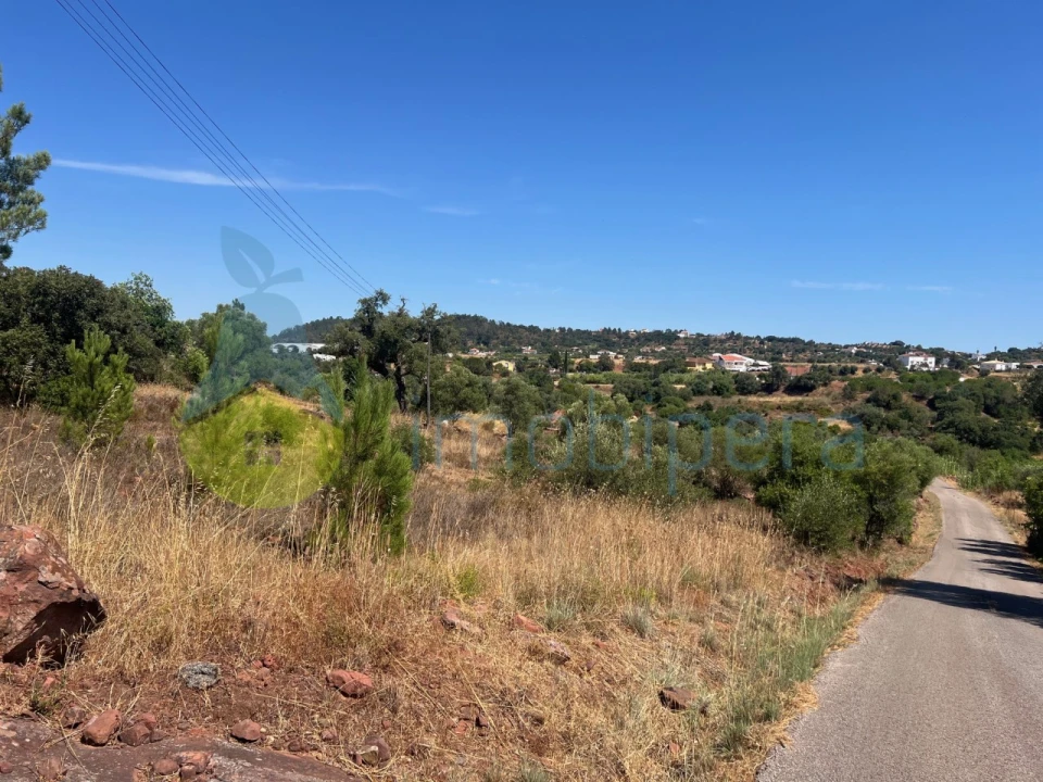 Terreno Agricola ou Rústico para Venda em São Bartolomeu de Messines Foto 18