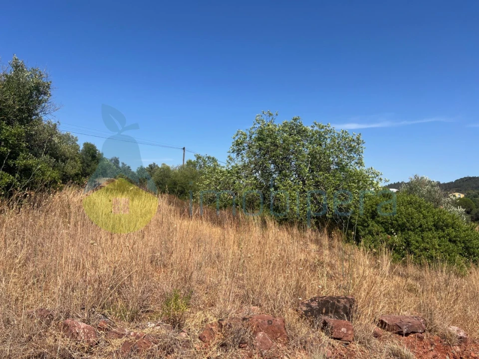 Terreno Agricola ou Rústico para Venda em São Bartolomeu de Messines Foto 27