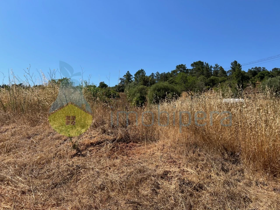 Terreno Agricola ou Rústico para Venda em São Bartolomeu de Messines Foto 32