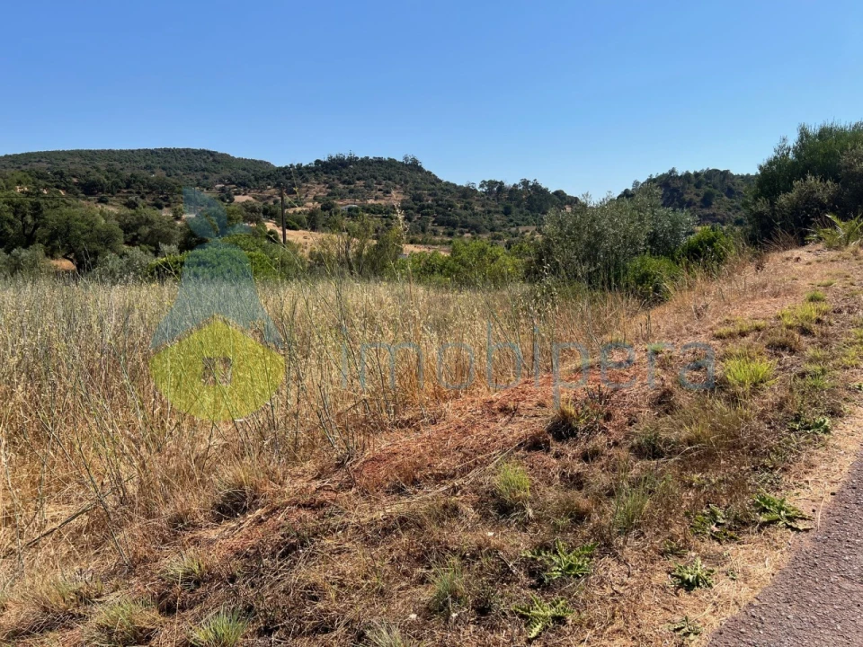 Terreno Agricola ou Rústico para Venda em São Bartolomeu de Messines Foto 33