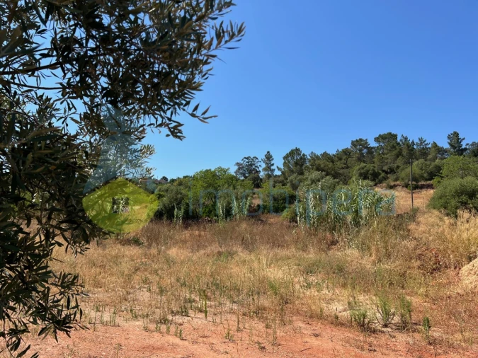 Terreno Agricola ou Rústico para Venda em São Bartolomeu de Messines