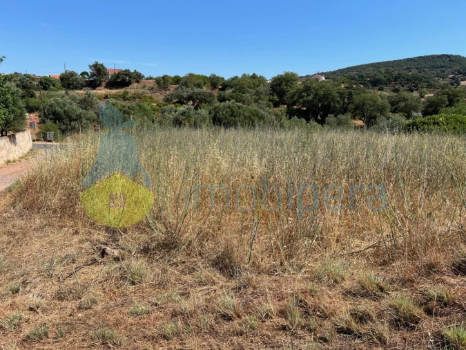 Terreno Agricola ou Rústico para Venda em São Bartolomeu de Messines Foto 4